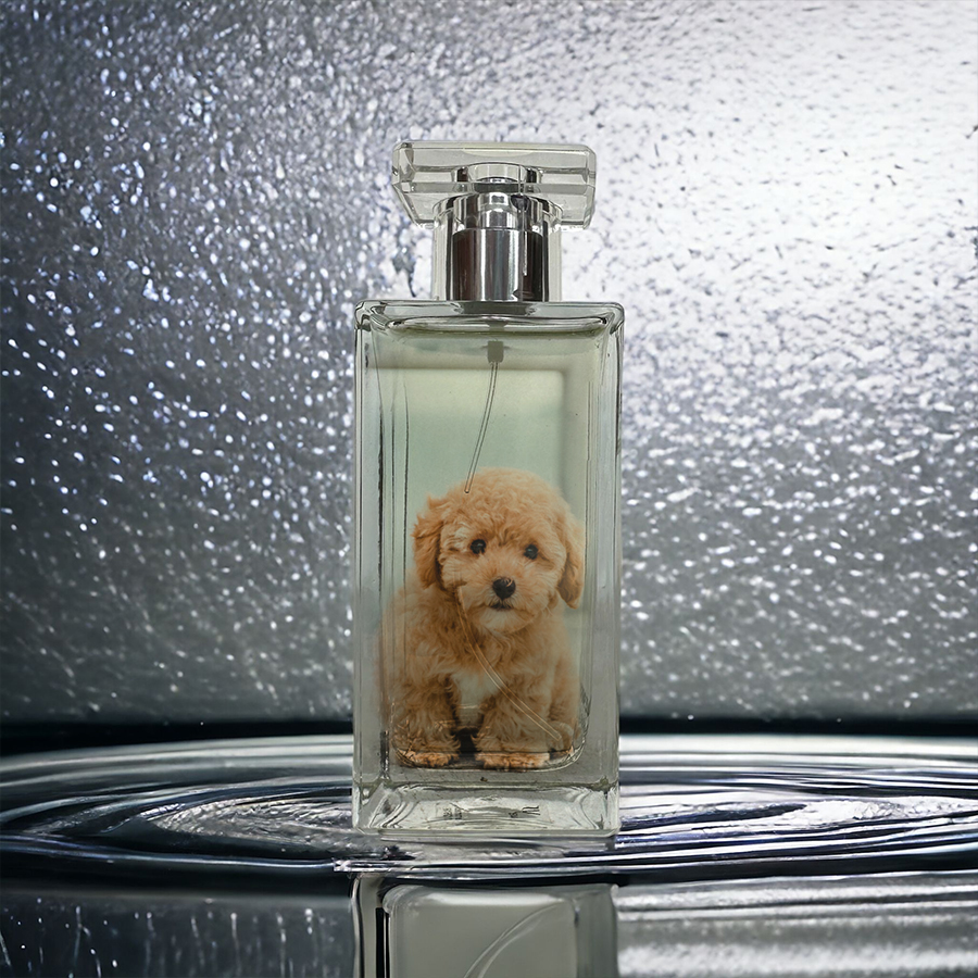 parfum mit hund